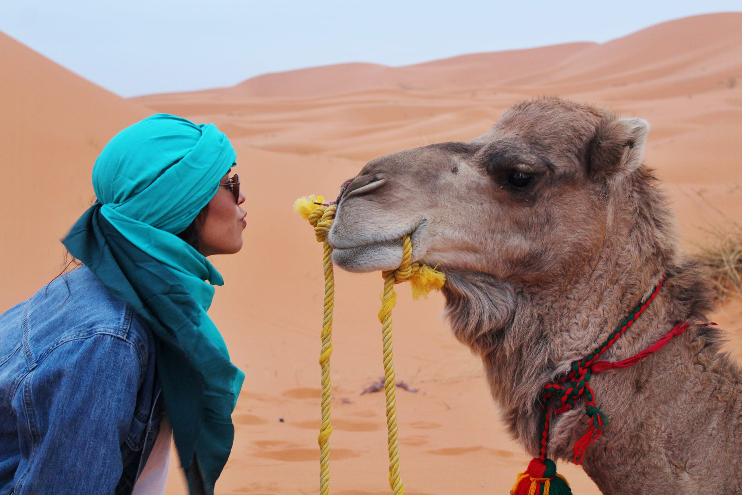 Kvinde og kamel i Marokko