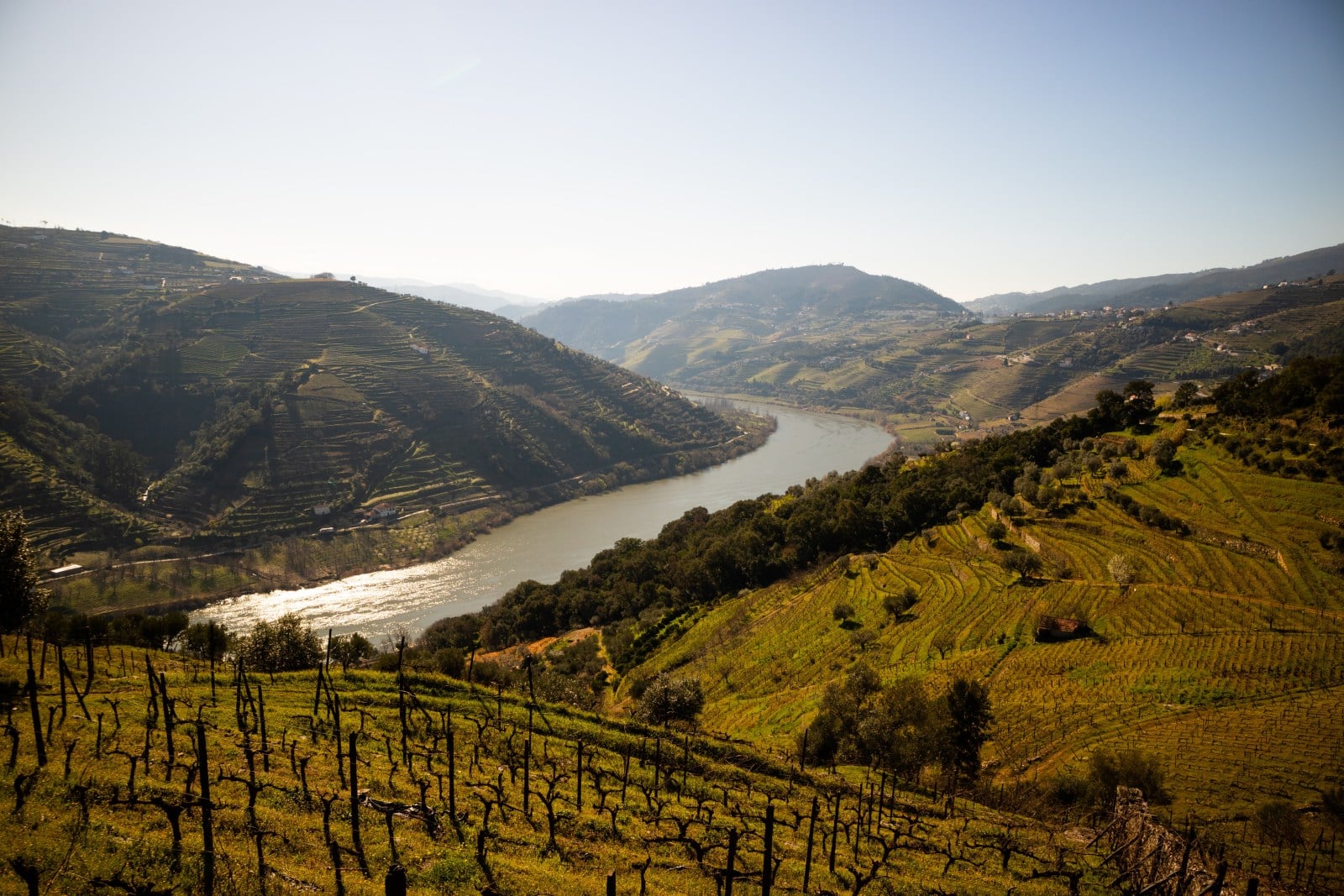 Douro dalen ved Porto i Portugal